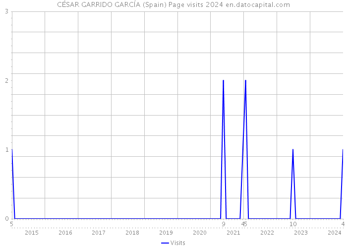 CÉSAR GARRIDO GARCÍA (Spain) Page visits 2024 