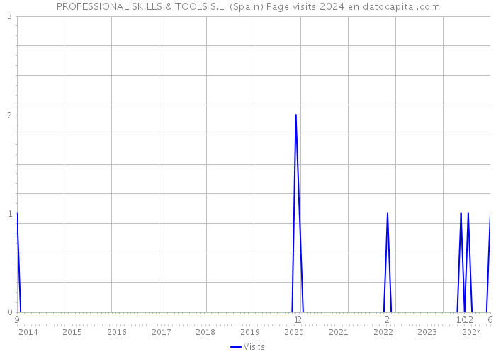 PROFESSIONAL SKILLS & TOOLS S.L. (Spain) Page visits 2024 