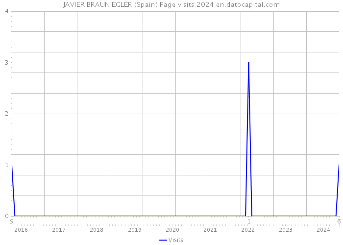 JAVIER BRAUN EGLER (Spain) Page visits 2024 