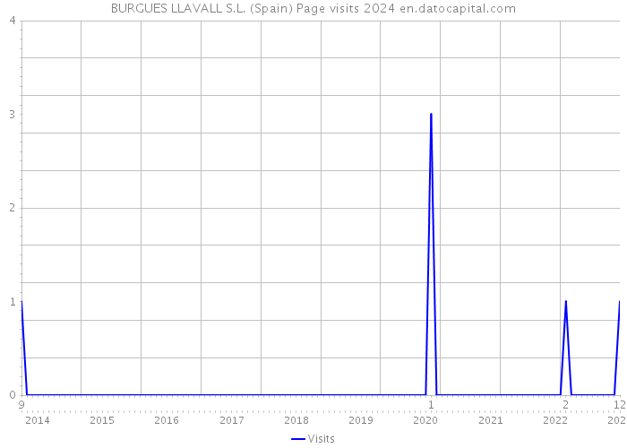BURGUES LLAVALL S.L. (Spain) Page visits 2024 