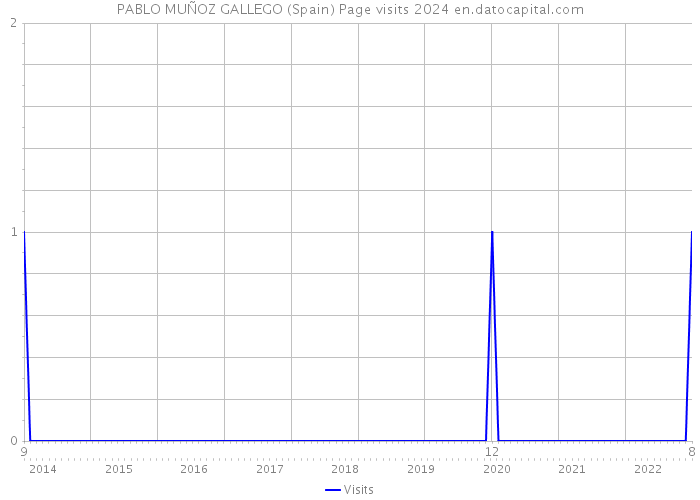 PABLO MUÑOZ GALLEGO (Spain) Page visits 2024 