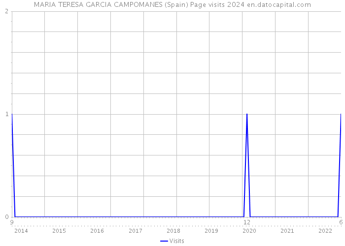 MARIA TERESA GARCIA CAMPOMANES (Spain) Page visits 2024 