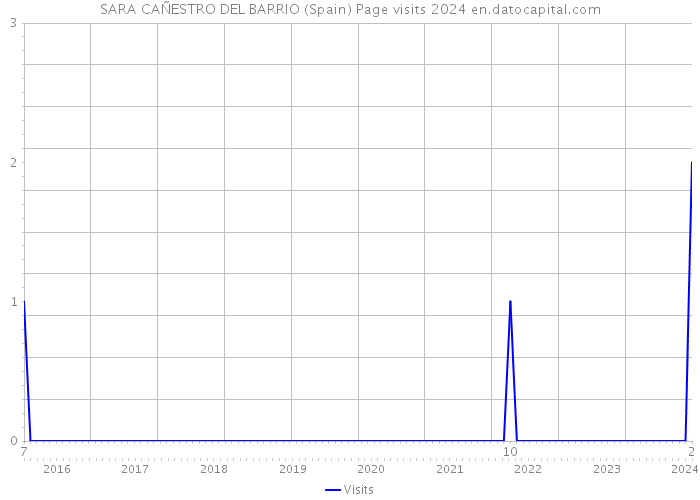SARA CAÑESTRO DEL BARRIO (Spain) Page visits 2024 