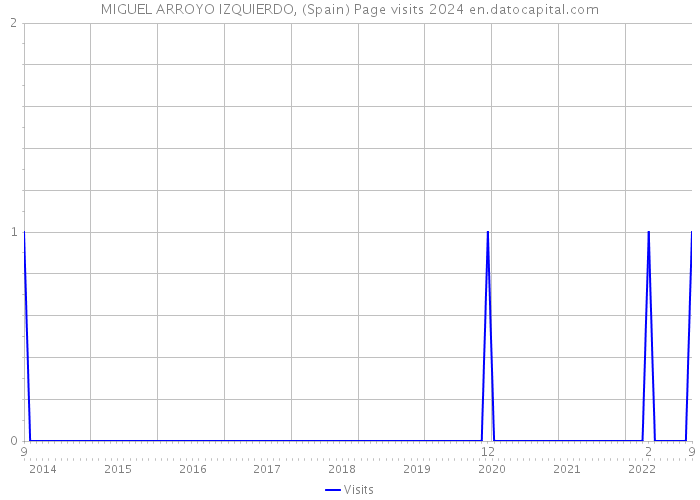 MIGUEL ARROYO IZQUIERDO, (Spain) Page visits 2024 