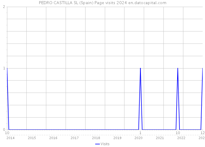 PEDRO CASTILLA SL (Spain) Page visits 2024 