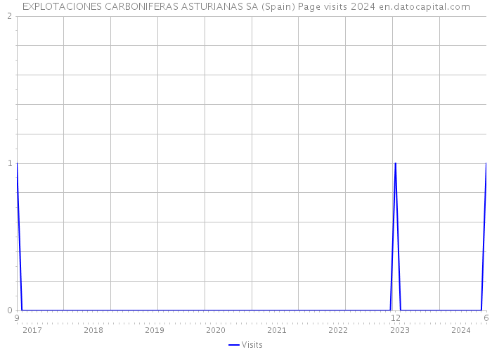 EXPLOTACIONES CARBONIFERAS ASTURIANAS SA (Spain) Page visits 2024 