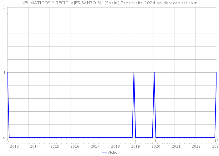 NEUMATICOS Y RECICLAJES BANZO SL. (Spain) Page visits 2024 