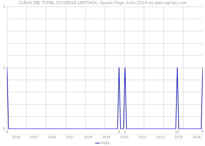 CUEVA DEL TUNEL SOCIEDAD LIMITADA. (Spain) Page visits 2024 