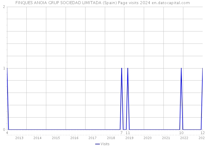 FINQUES ANOIA GRUP SOCIEDAD LIMITADA (Spain) Page visits 2024 