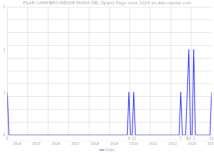 PILAR CAMINERO MENOR MARIA DEL (Spain) Page visits 2024 