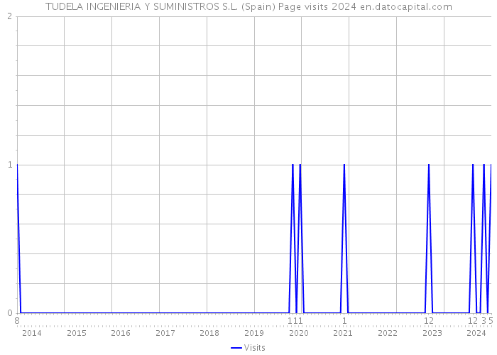 TUDELA INGENIERIA Y SUMINISTROS S.L. (Spain) Page visits 2024 