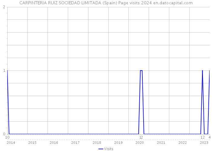 CARPINTERIA RUIZ SOCIEDAD LIMITADA (Spain) Page visits 2024 