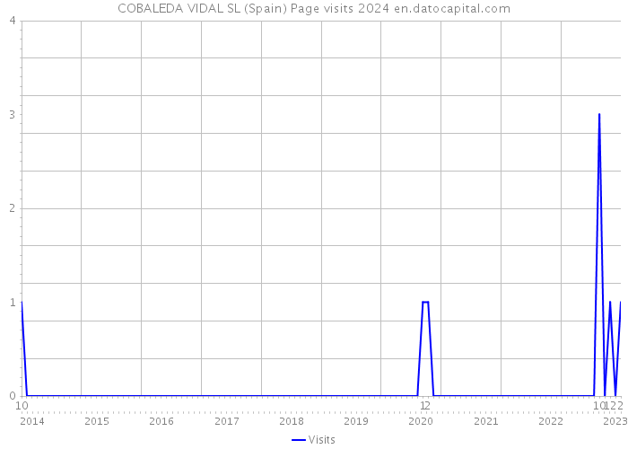 COBALEDA VIDAL SL (Spain) Page visits 2024 