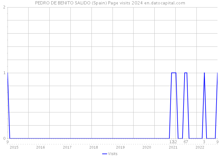 PEDRO DE BENITO SALIDO (Spain) Page visits 2024 