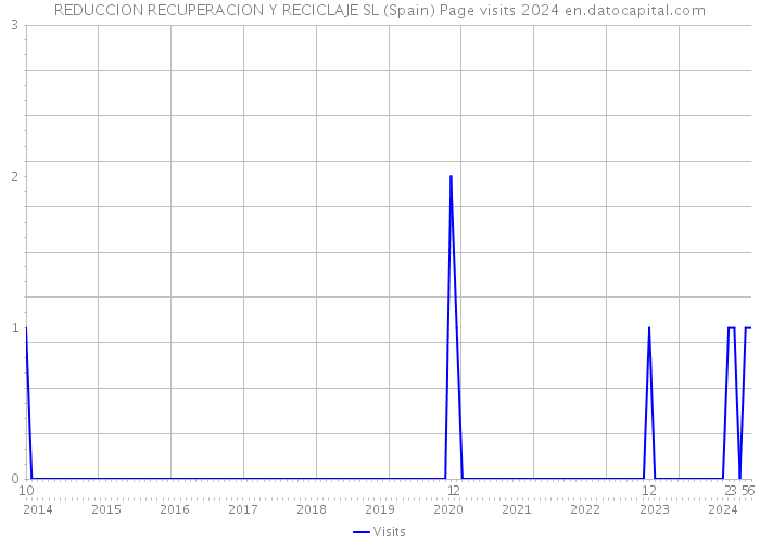 REDUCCION RECUPERACION Y RECICLAJE SL (Spain) Page visits 2024 
