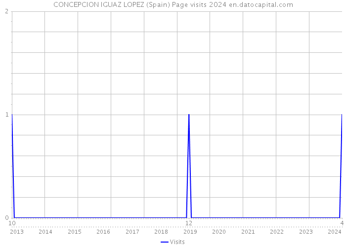 CONCEPCION IGUAZ LOPEZ (Spain) Page visits 2024 