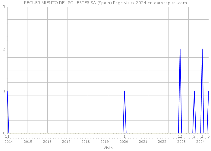 RECUBRIMIENTO DEL POLIESTER SA (Spain) Page visits 2024 