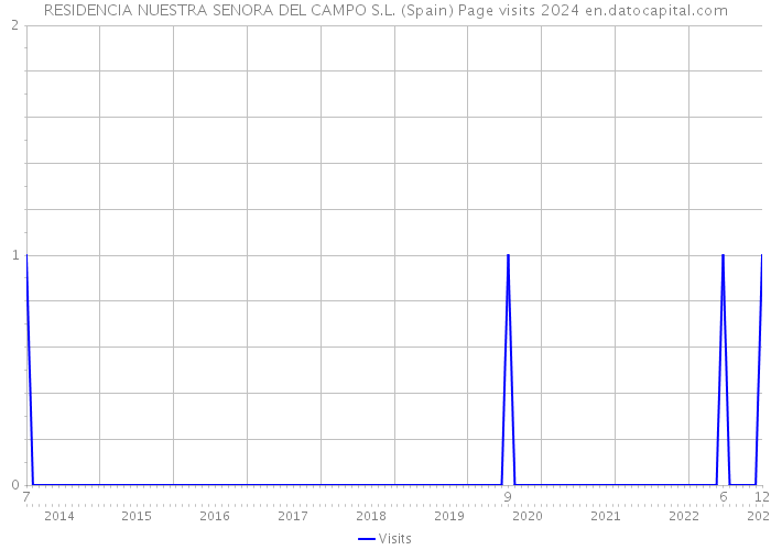 RESIDENCIA NUESTRA SENORA DEL CAMPO S.L. (Spain) Page visits 2024 