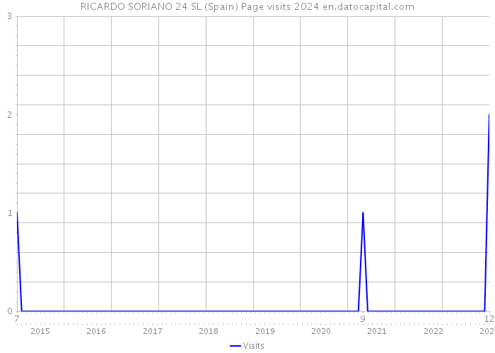 RICARDO SORIANO 24 SL (Spain) Page visits 2024 