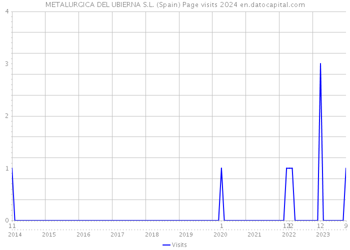 METALURGICA DEL UBIERNA S.L. (Spain) Page visits 2024 