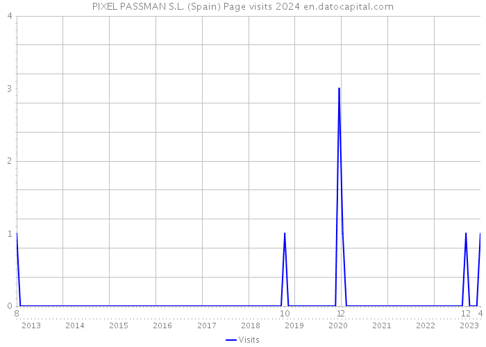 PIXEL PASSMAN S.L. (Spain) Page visits 2024 