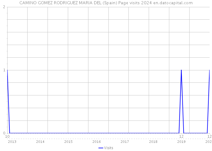 CAMINO GOMEZ RODRIGUEZ MARIA DEL (Spain) Page visits 2024 