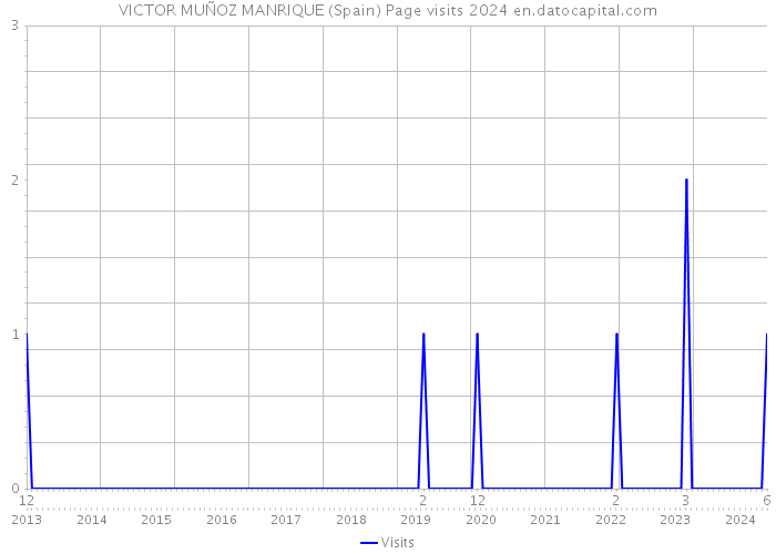 VICTOR MUÑOZ MANRIQUE (Spain) Page visits 2024 