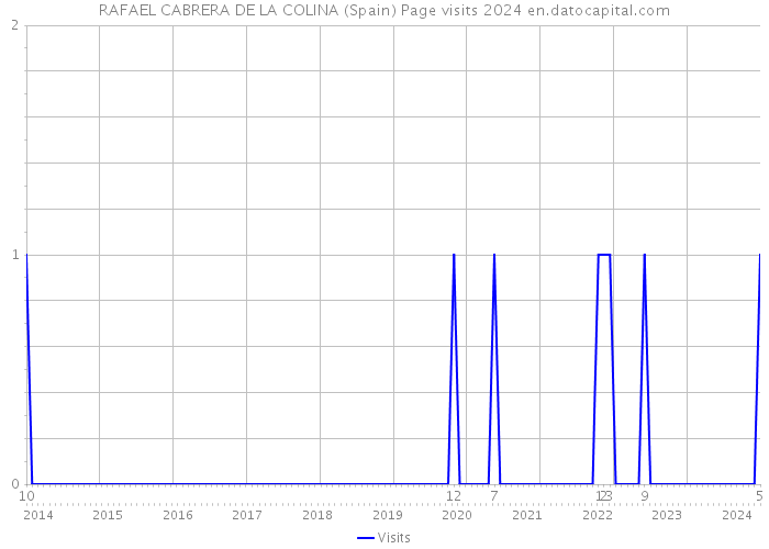 RAFAEL CABRERA DE LA COLINA (Spain) Page visits 2024 