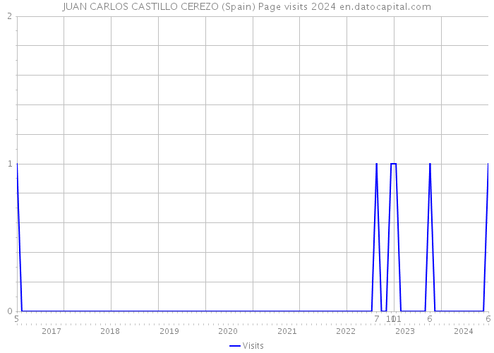 JUAN CARLOS CASTILLO CEREZO (Spain) Page visits 2024 