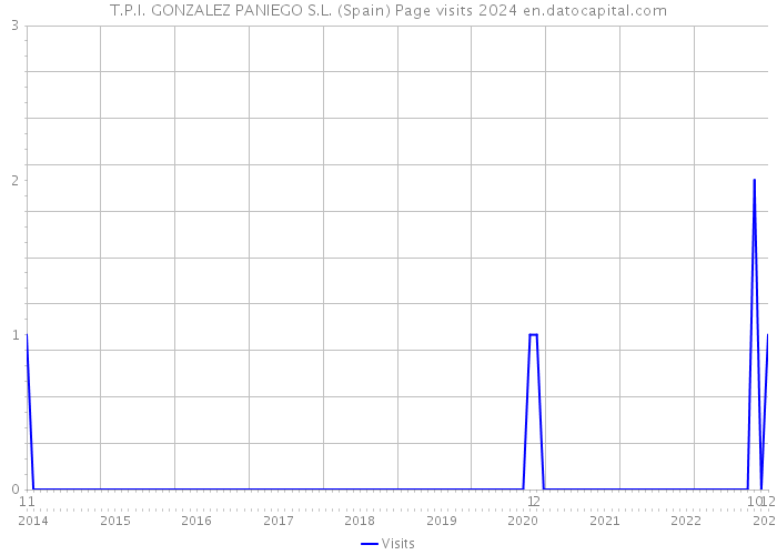 T.P.I. GONZALEZ PANIEGO S.L. (Spain) Page visits 2024 