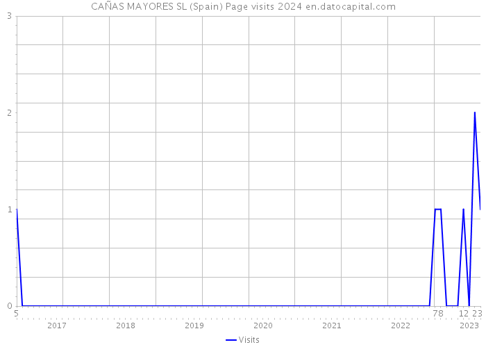CAÑAS MAYORES SL (Spain) Page visits 2024 