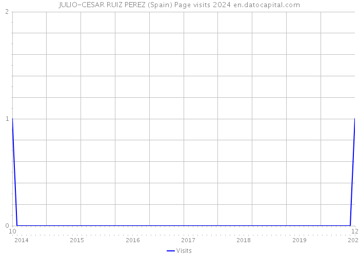 JULIO-CESAR RUIZ PEREZ (Spain) Page visits 2024 