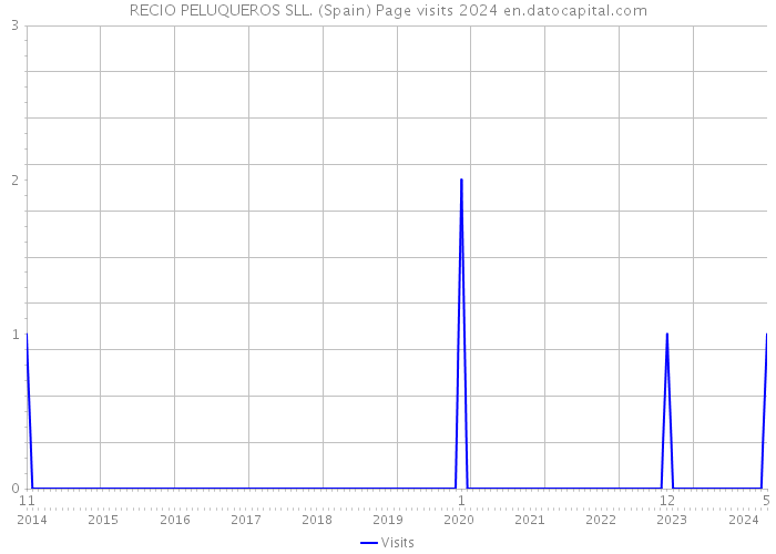 RECIO PELUQUEROS SLL. (Spain) Page visits 2024 