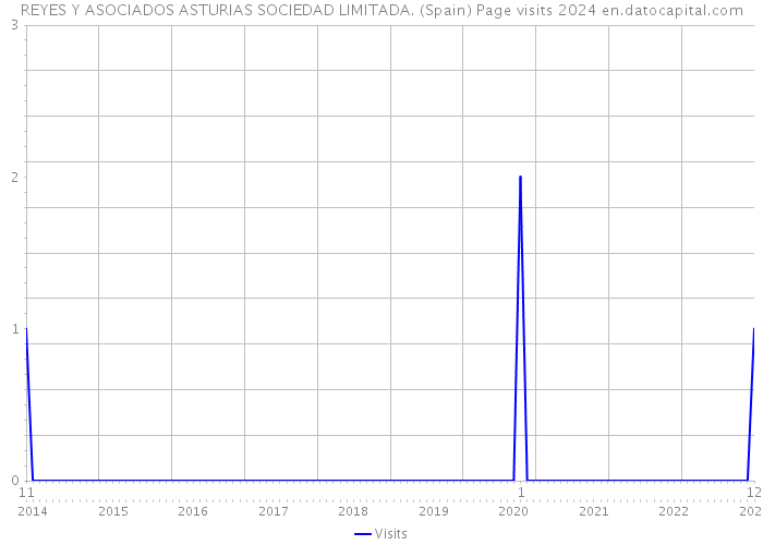 REYES Y ASOCIADOS ASTURIAS SOCIEDAD LIMITADA. (Spain) Page visits 2024 