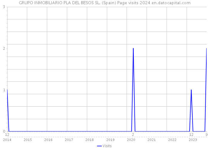 GRUPO INMOBILIARIO PLA DEL BESOS SL. (Spain) Page visits 2024 