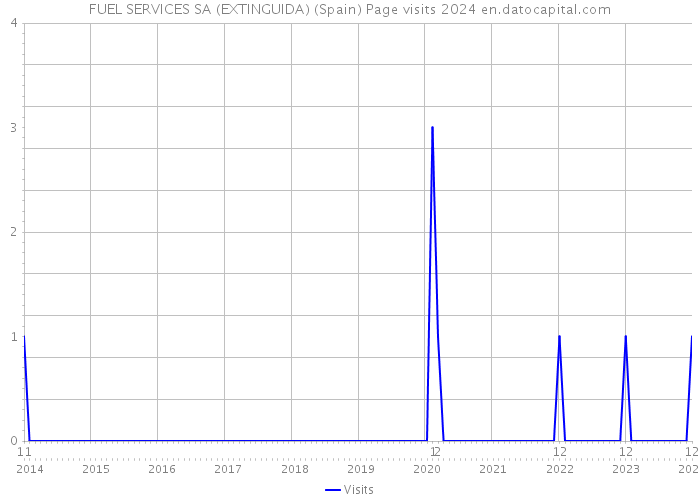 FUEL SERVICES SA (EXTINGUIDA) (Spain) Page visits 2024 