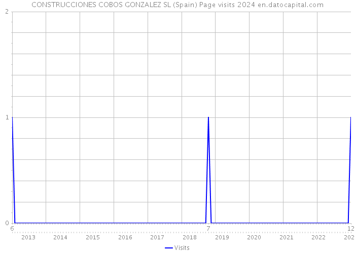 CONSTRUCCIONES COBOS GONZALEZ SL (Spain) Page visits 2024 
