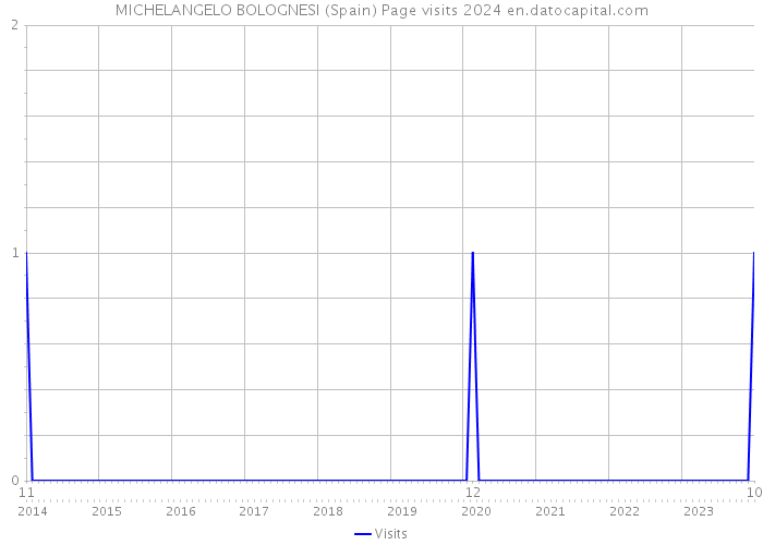 MICHELANGELO BOLOGNESI (Spain) Page visits 2024 