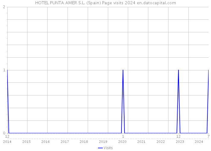 HOTEL PUNTA AMER S.L. (Spain) Page visits 2024 