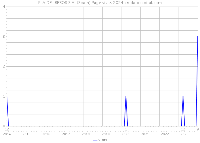 PLA DEL BESOS S.A. (Spain) Page visits 2024 