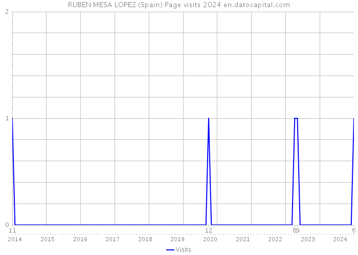 RUBEN MESA LOPEZ (Spain) Page visits 2024 