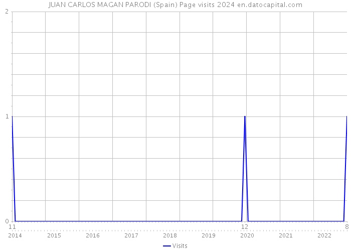JUAN CARLOS MAGAN PARODI (Spain) Page visits 2024 