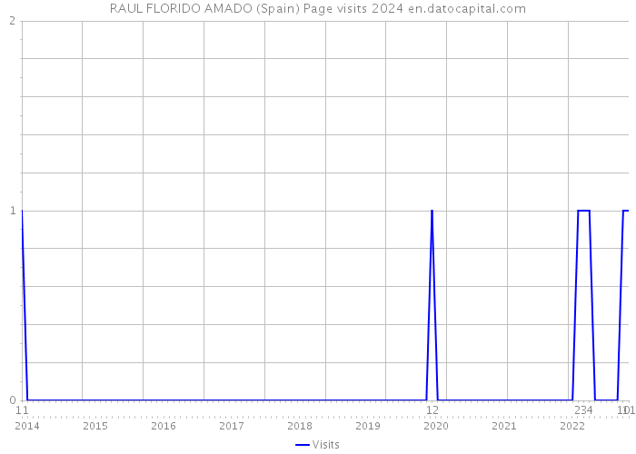 RAUL FLORIDO AMADO (Spain) Page visits 2024 