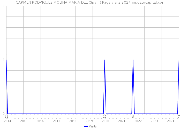 CARMEN RODRIGUEZ MOLINA MARIA DEL (Spain) Page visits 2024 