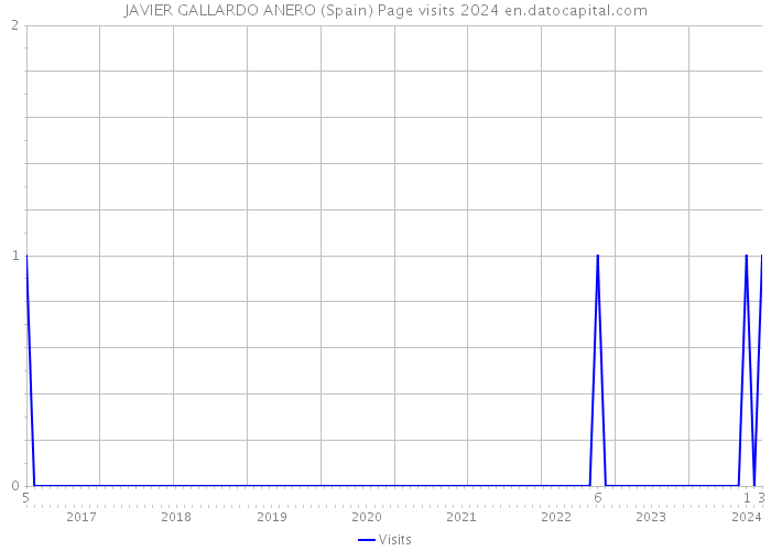 JAVIER GALLARDO ANERO (Spain) Page visits 2024 