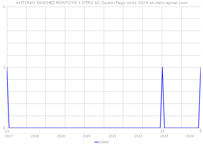 ANTONIO SANCHEZ MONTOYA Y OTRO SC (Spain) Page visits 2024 