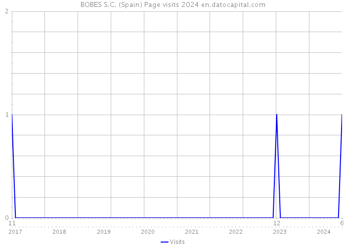 BOBES S.C. (Spain) Page visits 2024 