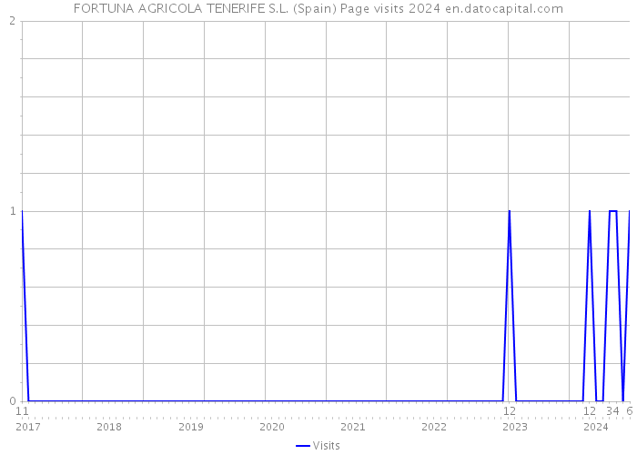 FORTUNA AGRICOLA TENERIFE S.L. (Spain) Page visits 2024 