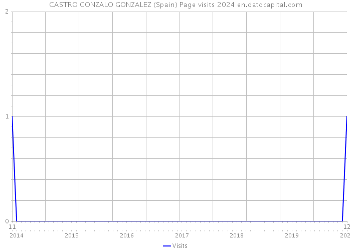 CASTRO GONZALO GONZALEZ (Spain) Page visits 2024 