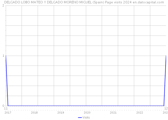 DELGADO LOBO MATEO Y DELGADO MORENO MIGUEL (Spain) Page visits 2024 